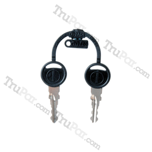 1460806000 Replacement Set Of 2 Key: American Lincoln
